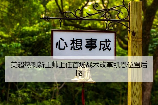 ying-chao-re-ci-xin-zhu-shuai-shang-ren-shou-chang-zhan-shu-gai-ge-kai-en-wei-zhi-hou-che-2-916.jpg