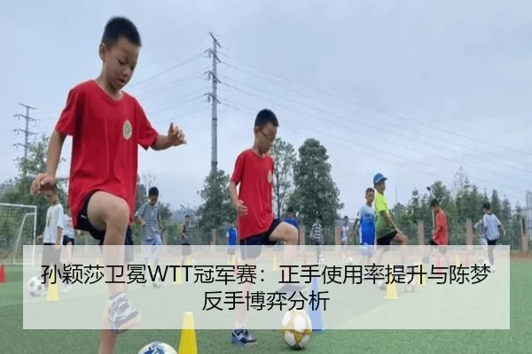 sun-ying-sha-wei-mian-guan-jun-sai-zheng-shou-shi-yong-lv-ti-sheng-yu-chen-meng-fan-shou-bo-yi-fen-xi-3-666.jpg